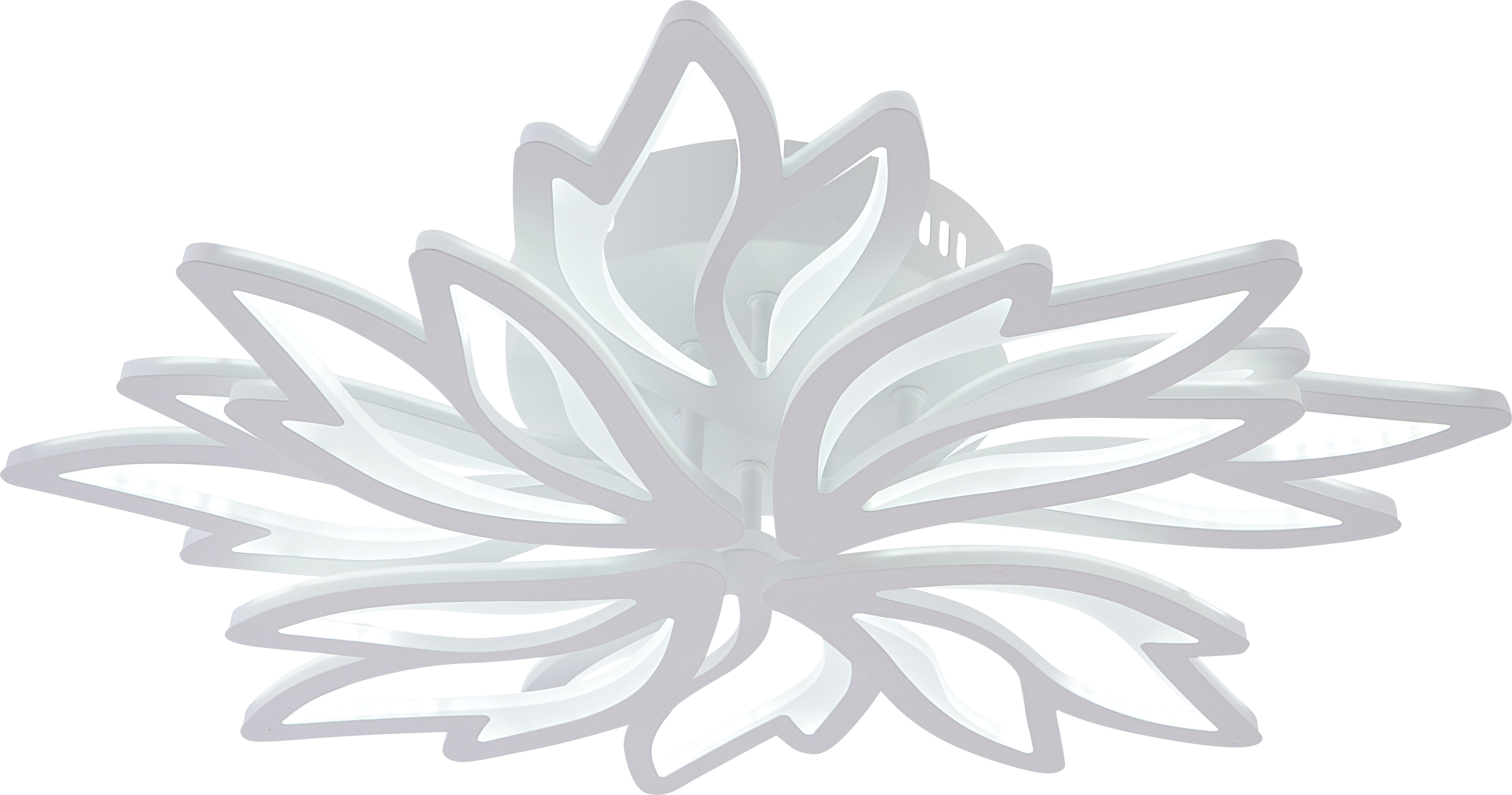 9862/4+4 WHT (МАРКЕТ)